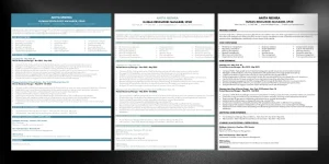 Three professional resume template designs on display — professional resume templates